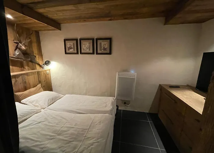 Wintergarten2 Daire Valmorel